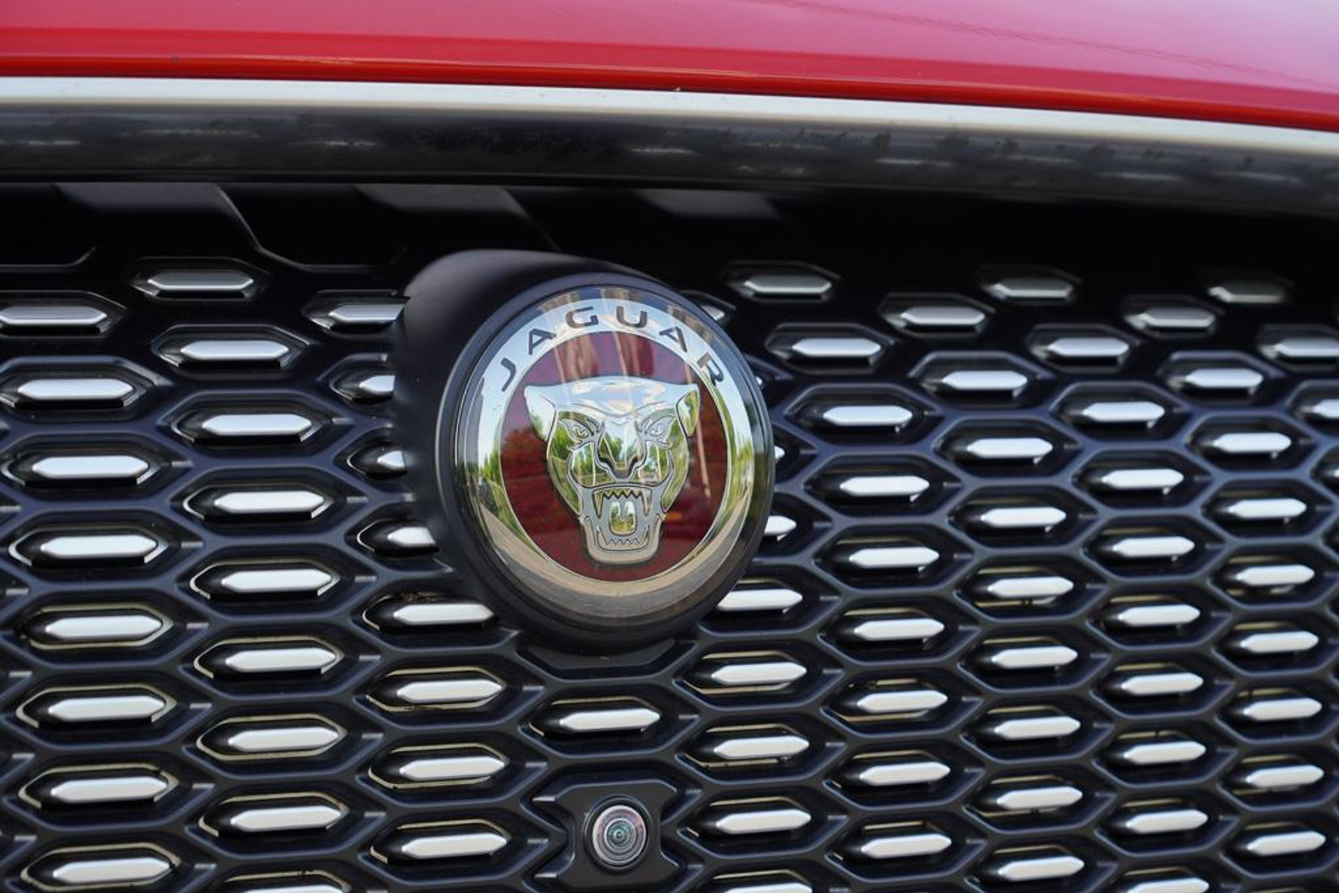 44699721-45.jpg
