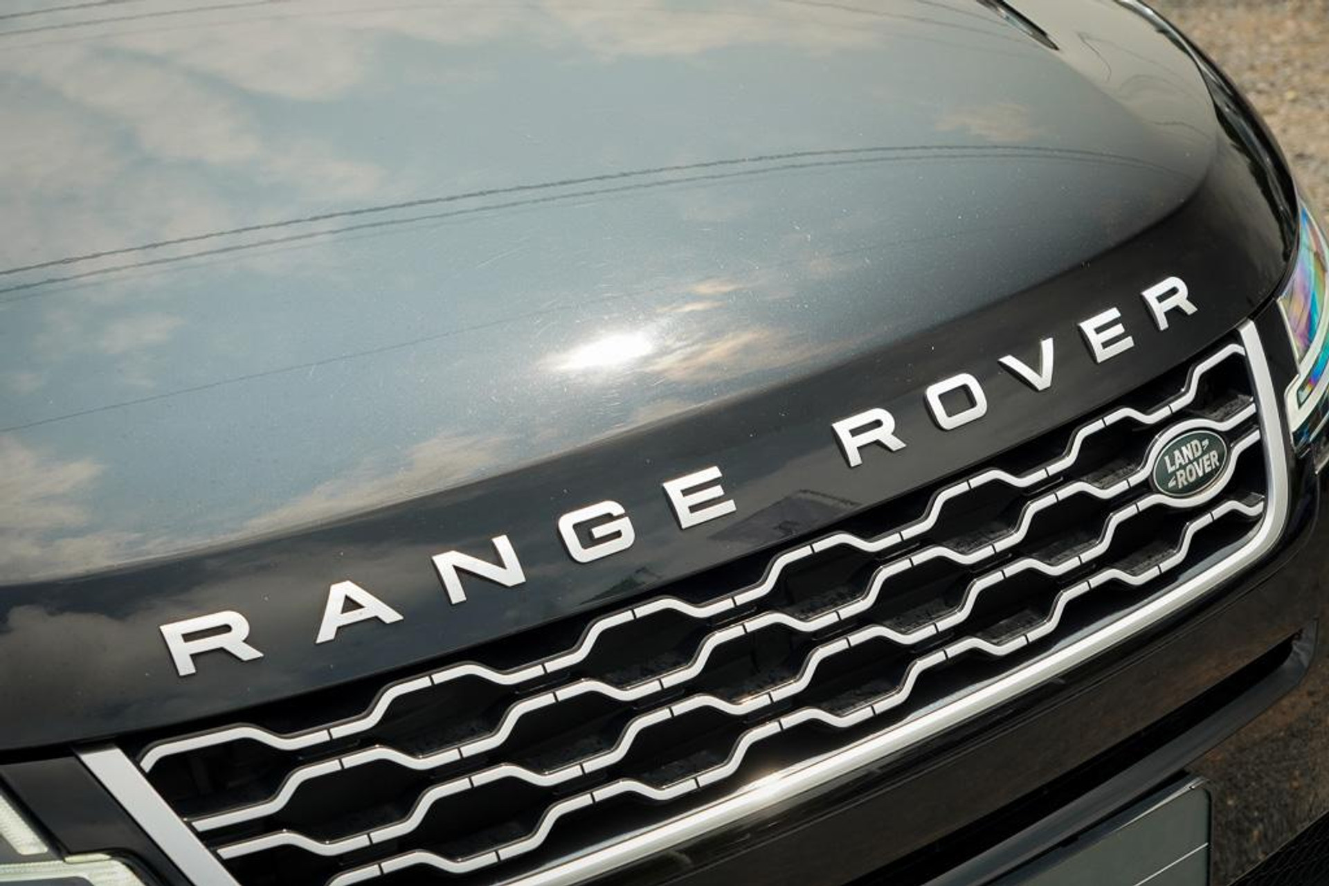 45441519-31.jpg