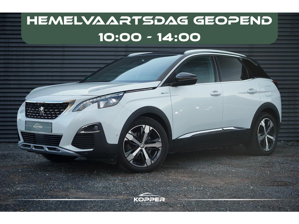 50660363