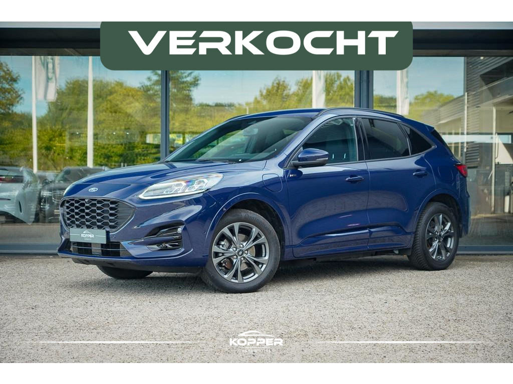 53474269